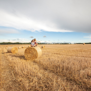 Ein typisches Motiv und beliebte Fotokulisse im Spätsommer auf den weiten Feldern der Region. © Hendrik Silbermann