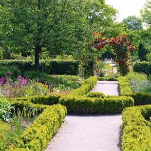 Der größte Kräutergarten in Mecklenburg-Vorpommern mit verschiedenen Themengärten - nicht nur für Botanik-Liebhaber. © Hendrik Silbermann