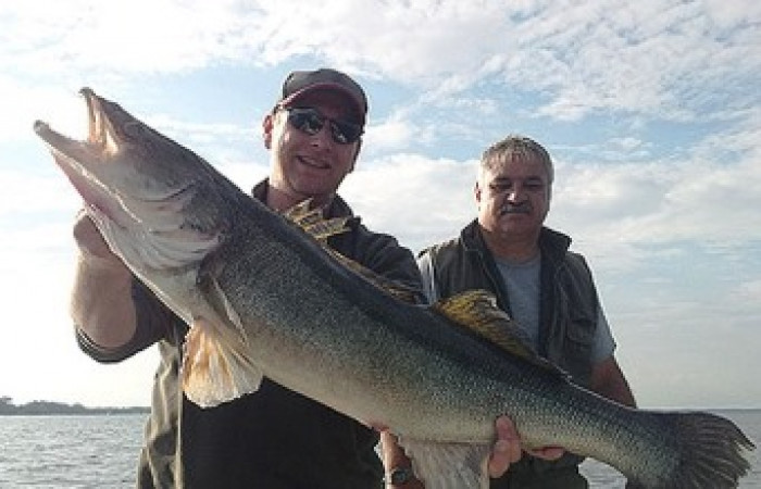 Angelguide Torsten Müller