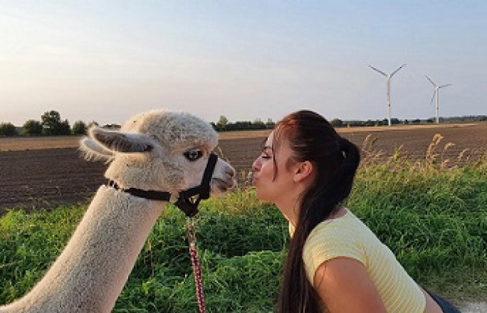Alpaka Ranch Ruhner Berge