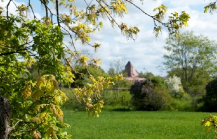 Café & Bäckerei am Burgplatz